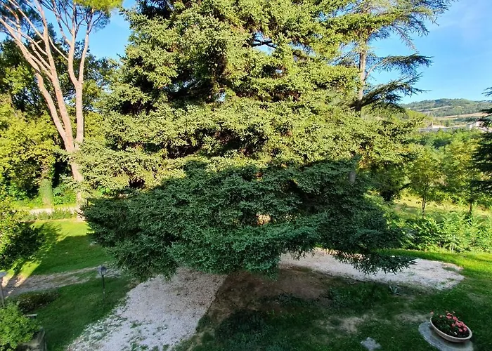 Bed & Breakfast Molinello